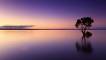 sunset1920x1280